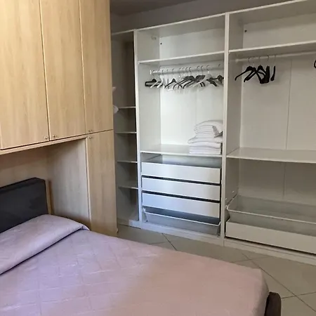 Plumosus * アルマ・ディ・タッジャ